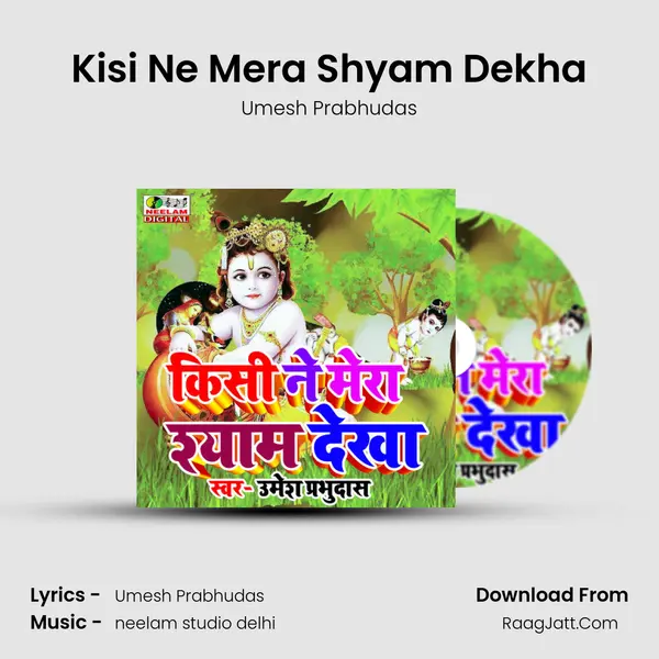 Kisi Ne Mera Shyam Dekha mp3 song
