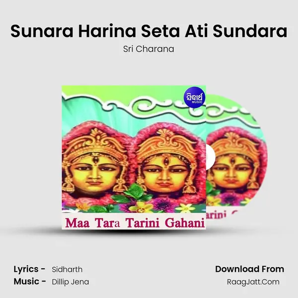 Sunara Harina Seta Ati Sundara MP3 Song by Sri Charana Cover