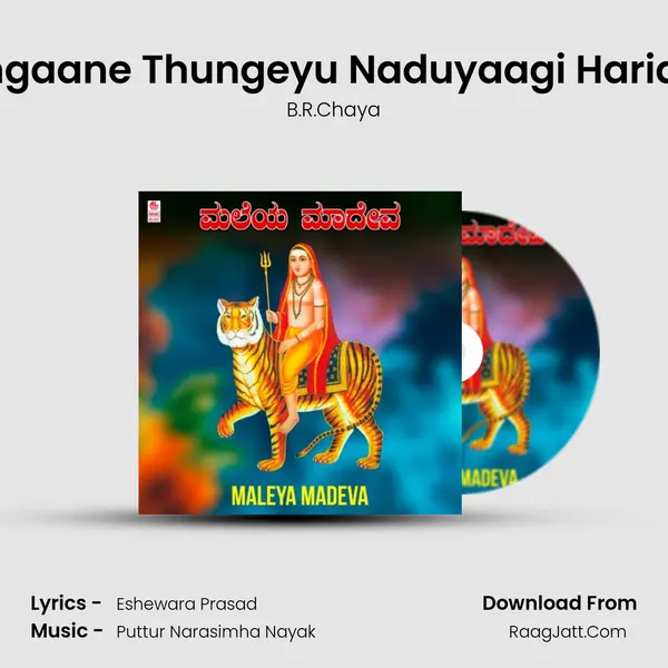 Angaane Thungeyu Naduyaagi Haridu (From 