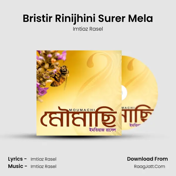 Bristir Rinijhini Surer Mela MP3 Song by Imtiaz Rasel Cover