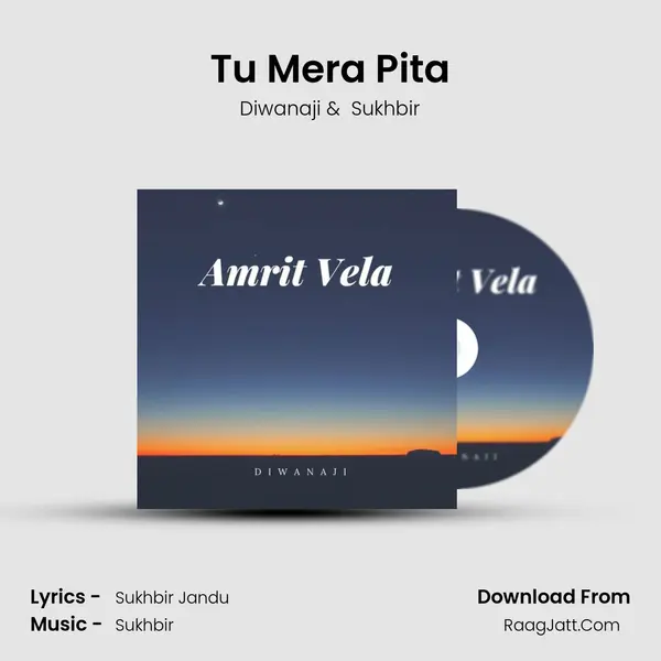 Tu Mera Pita Cover