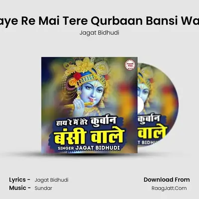 Haye Re Mai Tere Qurbaan Bansi Wale mp3 song