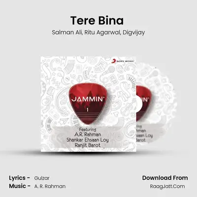 Tere Bina (Jammin') MP3 Song by Salman Ali Cover