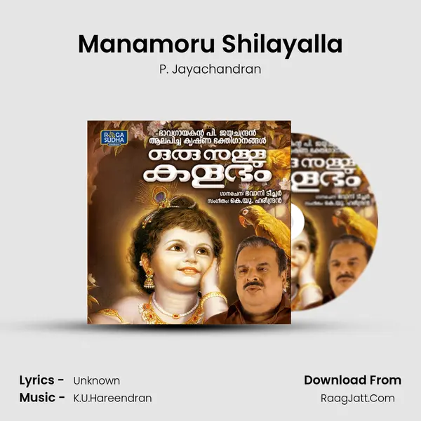 Manamoru Shilayalla MP3 Song by P. Jayachandran Cover