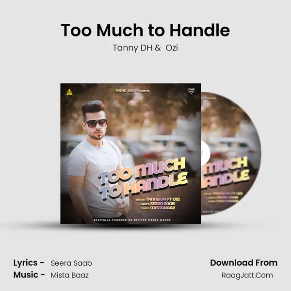 Too Much to Handle MP3 Song by Tanny DH Cover