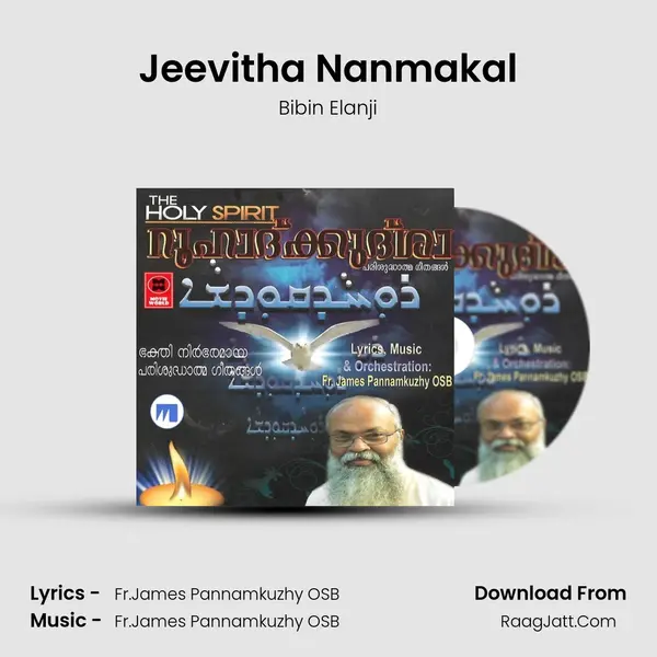 Jeevitha Nanmakal MP3 Song by Bibin Elanji Cover