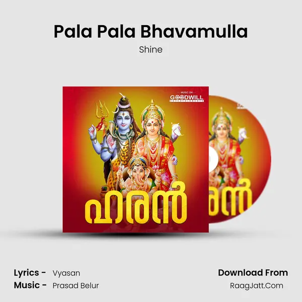 Pala Pala Bhavamulla MP3 Song by Shine Cover