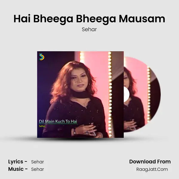 Hai Bheega Bheega Mausam mp3 song