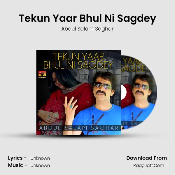 Tekun Yaar Bhul Ni Sagdey MP3 Song by Abdul Salam Saghar Cover