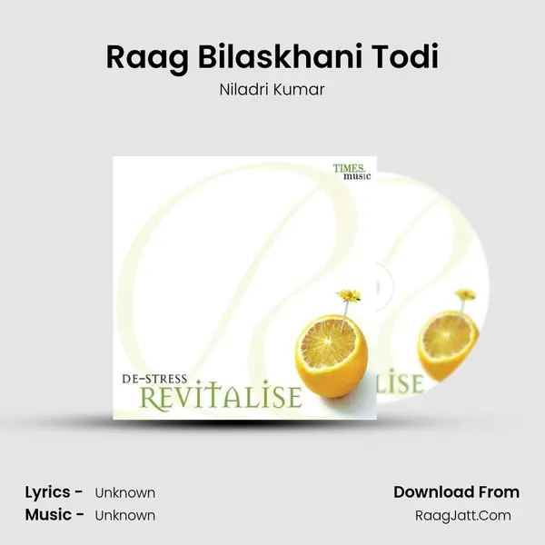 Raag Bilaskhani Todi MP3 Song by Niladri Kumar Cover