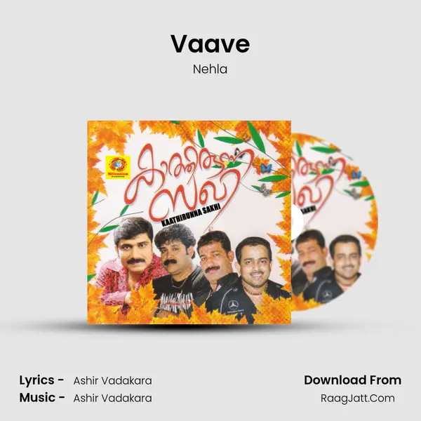 Vaave MP3 Song by Nehla Cover