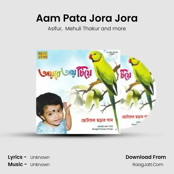 Aam Pata Jora Jora MP3 Song by Asifur Cover