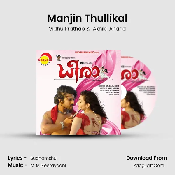 Manjin Thullikal MP3 Song by Vidhu Prathap Cover