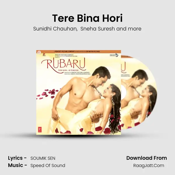 Tere Bina Hori MP3 Song by Sunidhi Chauhan Cover