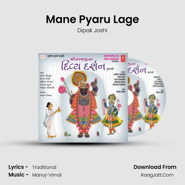 Mane Pyaru Lage MP3 Song by Dipak Joshi Cover