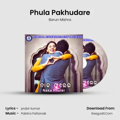 Phula Pakhudare MP3 Song by Barun Mishra Cover