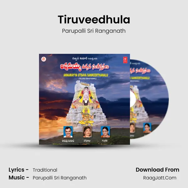 Tiruveedhula MP3 Song by Parupalli Sri Ranganath Cover