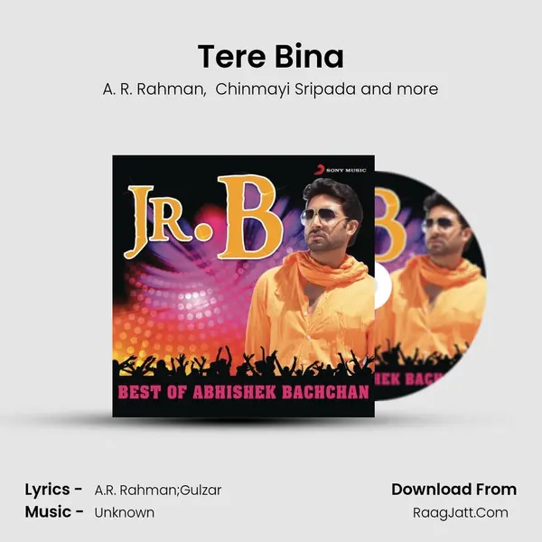 Tere Bina MP3 Song by A. R. Rahman Cover