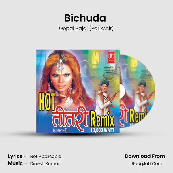 Bichuda (Instrumental) MP3 Song by Gopal Bajaj (Parikshit) Cover