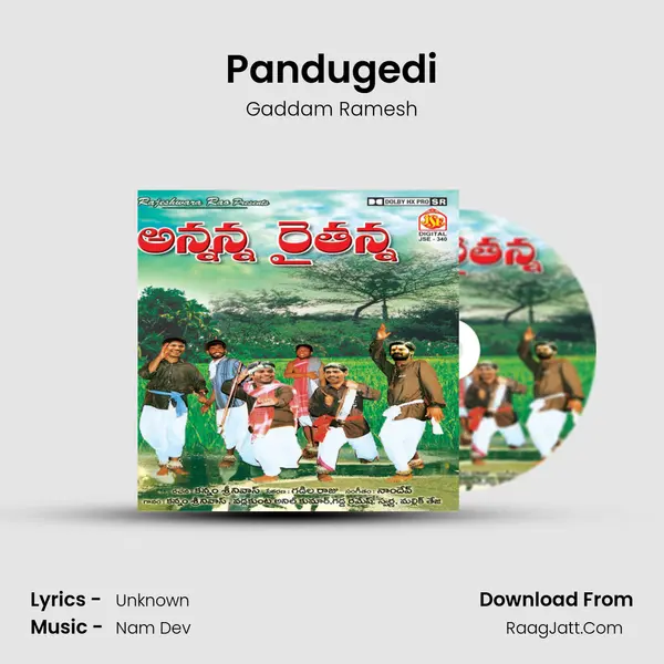 Pandugedi MP3 Song by Gaddam Ramesh Cover