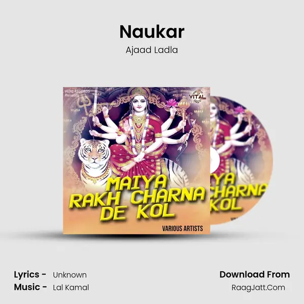 Naukar Cover