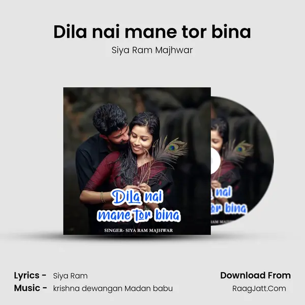 Dila nai mane tor bina mp3 song