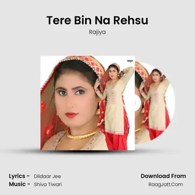 Tere Bin Na Rehsu mp3 song