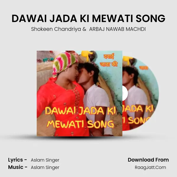 DAWAI JADA KI MEWATI SONG MP3 Song by Shokeen Chandriya Cover