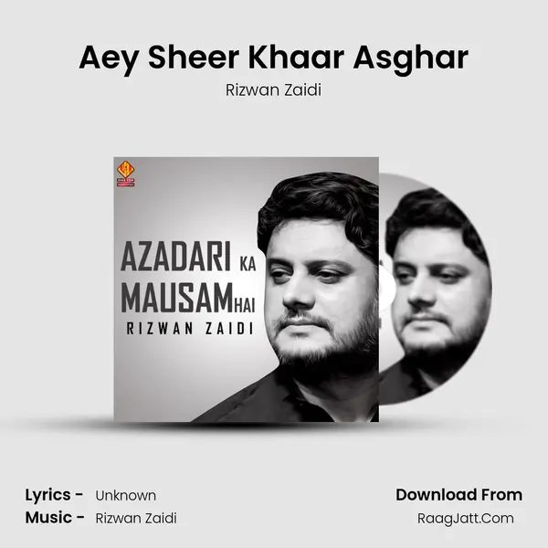Aey Sheer Khaar Asghar MP3 Song by Rizwan Zaidi Cover