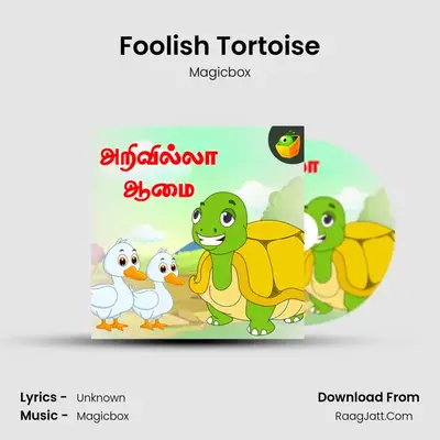 Foolish Tortoise - Magicbox