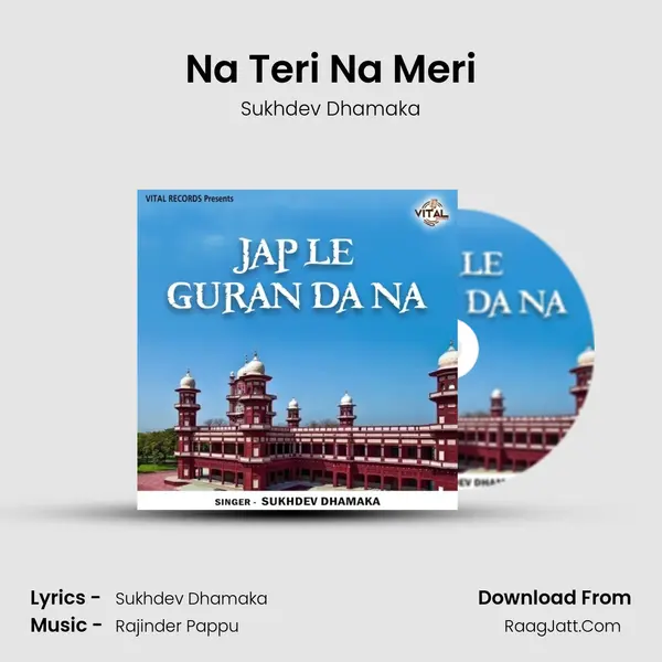 Na Teri Na Meri mp3 song