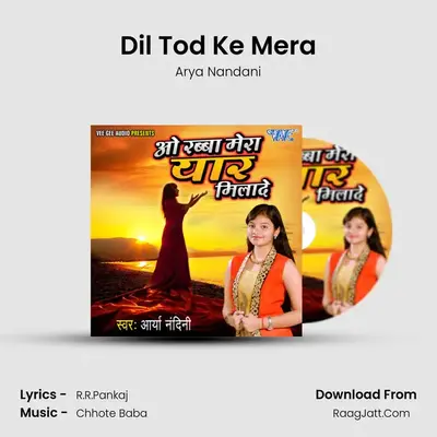 Dil Tod Ke Mera MP3 Song by Arya Nandani Cover