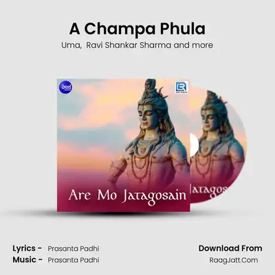 A Champa Phula MP3 Song by Uma Cover