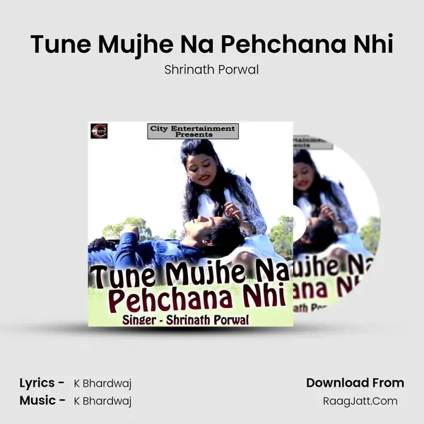 Tune Mujhe Na Pehchana Nhi MP3 Song by Shrinath Porwal Cover