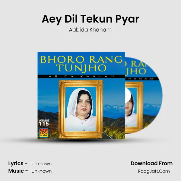 Aey Dil Tekun Pyar MP3 Song by Aabida Khanam Cover