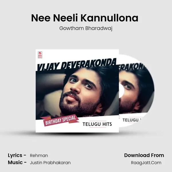 Nee Neeli Kannullona (From "Dear Comrade") Cover