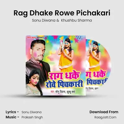 Rag Dhake Rowe Pichakari MP3 Song by Sonu Diwana Cover
