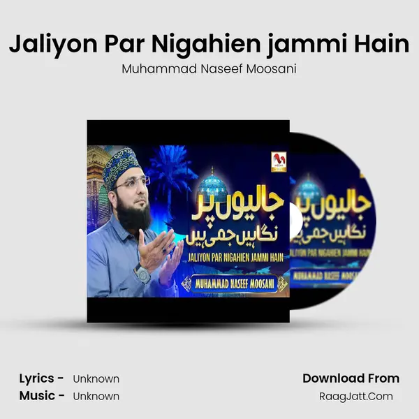 Jaliyon Par Nigahien jammi Hain mp3 song