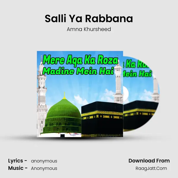 Salli Ya Rabbana MP3 Song by Amna Khursheed Cover