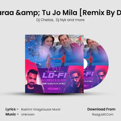 Mere Yaaraa &amp; Tu Jo Mila (From Love In Lo-Fi Volume 1)[Remix By Dj Chetas, mp3 song