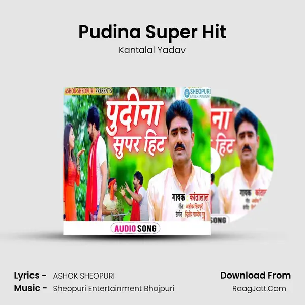 Pudina Super Hit - Kantalal Yadav
