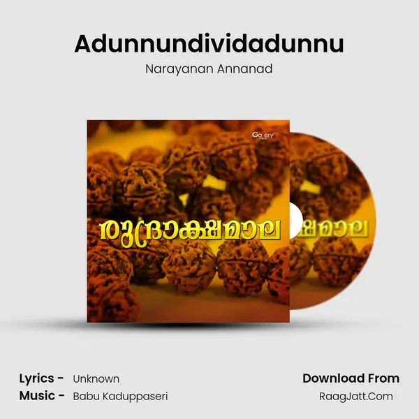 Adunnundividadunnu MP3 Song by Narayanan Annanad Cover