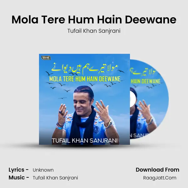 Mola Tere Hum Hain Deewane - Single - Tufail Khan Sanjrani