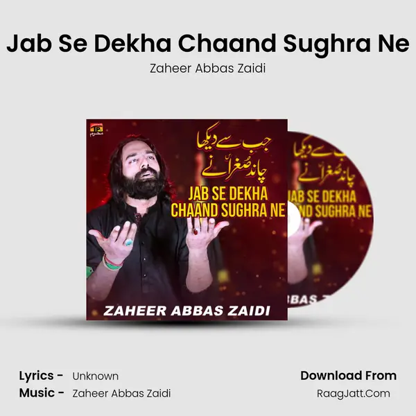 Jab Se Dekha Chaand Sughra Ne - Single - Zaheer Abbas Zaidi