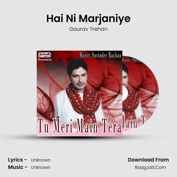 Hai Ni Marjaniye MP3 Song by Gaurav Trehan Cover