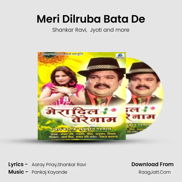 Meri Dilruba Bata De mp3 song