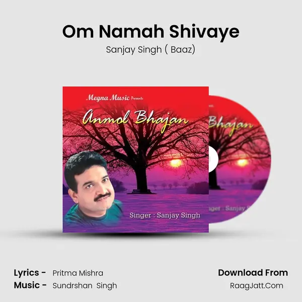 Om Namah Shivaye MP3 Song by Sanjay Singh ( Baaz) Cover