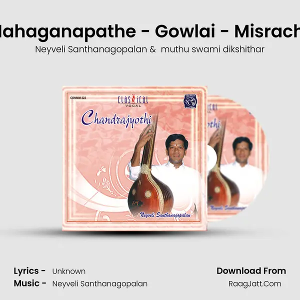 Sri Mahaganapathe - Gowlai - Misrachapu MP3 Song by Neyveli Santhanagopalan Cover