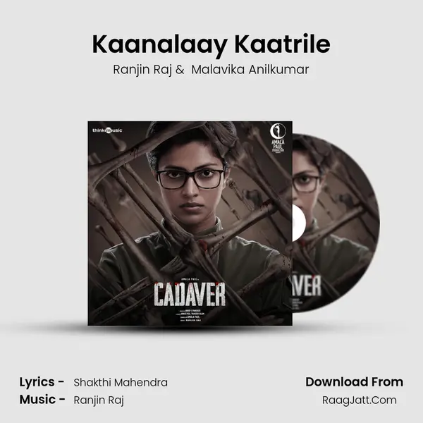 Kaanalaay Kaatrile MP3 Song by Ranjin Raj Cover