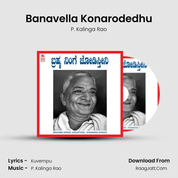 Banavella Konarodedhu MP3 Song by P. Kalinga Rao Cover